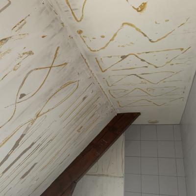 Rénovation des murs et du plafond Peintre Le Havre