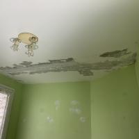 Dégât des eaux rénovation par esquisse peinture