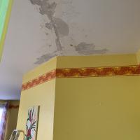 dégât des eaux rénovation esquisse peinture