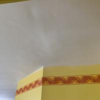 remise en état plafond suite à un dégat des eaux