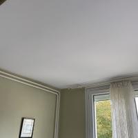 remise en etat d'un plafond suite à un dégât des eaux