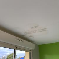 Remise en état d'un plafond 45m² suite à un dégât des eaux
